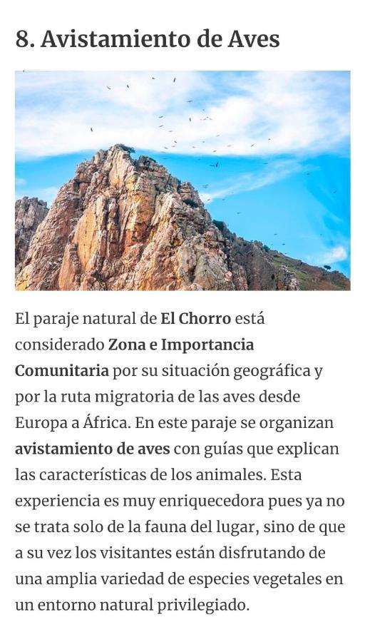 Alojamiento Alora Castillo Arabe Y Museo المظهر الخارجي الصورة
